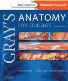 A manual of practice anatomy for students (Third edition): Part 2
