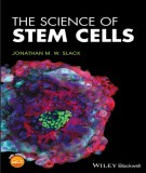 Stem cells in the science: Part 2