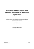 Master of Business Administration: Difference between Brands’ and Charities’ perception on the French eSport scene