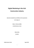 Master Thesis in Economics: Digital marketing in the Irish construction industry