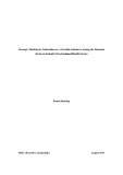 Master Thesis in Economics: Strategic Thinking in Telehealthcare: A Possible Solution to Easing the Financial Strain on Ireland’s Overburdened Health Service