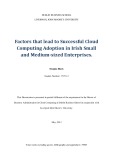 Master Thesis in Economics: Factors that lead to successful cloud computing adoption in Irish small and medium-sized enterprises