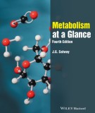 Introduce of metabolism at a glance (Fourth edition): Part 2