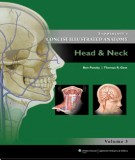 Head & neck - Concise illustrated anatomy (Volume 3): Part 2