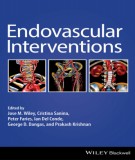 Introduction of endovascular interventions: Part 1