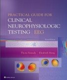 Clinical neurophysiologic testing EEG - Practical guide (Second edition): Part 1