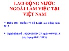 Bài giảng về Lao động nước ngoài làm việc tại Việt Nam (Điều 168 - 175 Bộ luật Lao động 2012)