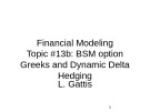 Lecture Financial modeling - Topic 13B: BSM option greeks and dynamic delta hedging