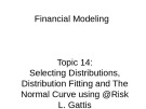 Lecture Financial modeling - Topic 14: Selecting distributions, distribution fitting and the normal curve using @Risk