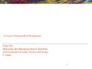 Lecture Financial risks management - Topic 12: Measuring and managing interest rate risk with financial forwards, futures and swaps