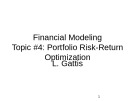 Lecture Financial modeling - Topic 4: Portfolio risk-return optimization