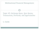 Lecture Financial risks management - Topic 5: Exchange rates, spot quotes, transactions, forwards, and appreciations