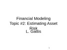 Lecture Financial modeling - Topic 2: Estimating asset risk