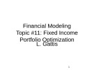 Lecture Financial modeling - Topic 11: Fixed income portfolio optimization