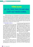 Tổng quan về cấu trúc pha của mô hình chất hạt nhân Chiral