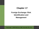 Lecture Financial institutions, instruments and markets (6/e): Chapter 17 - Christopher Viney