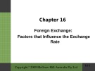 Lecture Financial institutions, instruments and markets (6/e): Chapter 16 - Christopher Viney