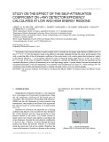 Study on the effect of the self attenuation coefficient on a ray detector efficiency calculated at low and high energy regions