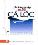 Cá lóc và các phương pháp nuôi