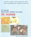 Ốc hương - Kỹ thuật sản xuất giống và chăn nuôi