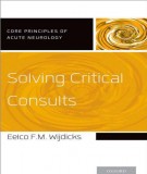 Consulting and solving critical: Part 1