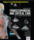 Critical care ultrasound and basic transesophageal: Part 2
