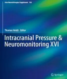 Neuromonitoring and intracranial pressure XVI: Part 1