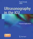 Practical applications with ultrasonography in the ICU: Part 2