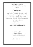 Tóm tắt Luận án tiến sĩ Kinh tế: Tín dụng vi mô và mức sống của nông hộ ở Việt Nam