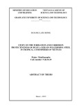 Abstract of thesis: Study on the formation and corrosion protectiveness of rust layer on weathering steel in tropical atmosphere of Vietnam