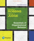 Organizational behavior and essentials factors: Part 1