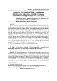 Thẩm định phương pháp định lượng bằng sắc ký lỏng hiệu năng cao để ứng dụng trong đánh giá độ ổn định của capsaicin