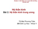 Bài giảng Hệ thần kinh: Bài 2 - Hệ thần kinh trung ương