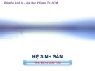 Bài giảng Hệ sinh sản