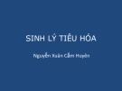 Bài giảng Sinh lý tiêu hóa