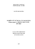 Luận án tiến sĩ Nông nghiệp: Nghiên cứu sử dụng cây Mai dương (Mimosa pigra L.) trong chăn nuôi dê thịt