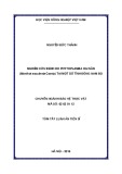 Tóm tắt Luận án tiến sĩ: Nghiên cứu bệnh do phytoplasma hại sắn (Manihot esculenta Crantz) tại một số tỉnh Đông Nam Bộ