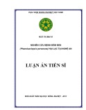 Luận án tiến sĩ: Nghiên cứu bệnh đốm đen (Phaeoisariopsis personata) hại lạc tại Nghệ An