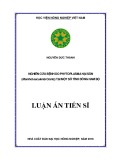 Luận án tiến sĩ: Nghiên cứu bệnh do phytoplasma hại sắn (Manihot esculenta Crantz) tại một số tỉnh Đông Nam Bộ