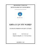 Đồ án tốt nghiệp du lịch: Thực trạng và giải pháp nâng cao chất lượng dịch vụ của một số công ty du lịch hoạt động tại khu vực Vịnh Hạ Long