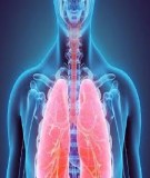 Bài giảng Y khoa - Khoa Nhi: Hô hấp