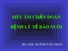 Bài giảng Siêu âm chẩn đoán bệnh lý tế bào nuôi - BS.CKII. Huỳnh Văn Nhàn