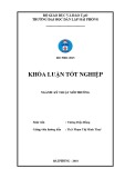 Đồ án tốt nghiệp ngành Kỹ thuật môi trường: Nghiên cứu khả năng xử lý Cu2+ trong nước bằng vật liệu hấp phụ chế tạo từ lõi ngô