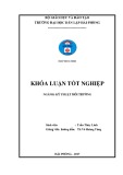 Đồ án tốt nghiệp ngành Kỹ thuật môi trường: Nghiên cứu ảnh hưởng của sóng siêu âm tần số 40KHz đến hiệu quả biến tính vỏ trấu để hấp phụ As và Pb trong nước