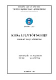 Đồ án tốt nghiệp ngành Kỹ thuật môi trường: Làm sạch dầu mỡ trên bề mặt kim loại bằng phương pháp điện hóa