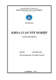 Đồ án tốt nghiệp ngành Kỹ thuật môi trường: Áp dụng mô hình quản lý các hệ sinh thái biển dựa vào cộng đồng ở Vịnh Hạ Long