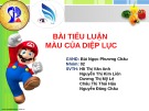 Tiểu luận: Màu của diệp lục