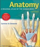  anatomy a regional atlas of the human body (sixth edition): phần 1