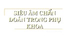 Bài giảng Siêu âm chẩn đoán trong phụ khoa - Lê Hoàng