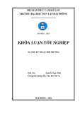 Đồ án tốt nghiệp ngành Kỹ thuật môi trường: Nghiên cứu xử lý nước thải sản xuất mắm bằng bãi lọc trồng cây sậy dòng chảy đứng